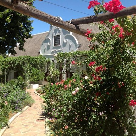 Wittedrift Manor House Hotel Tulbagh Kültér fotó