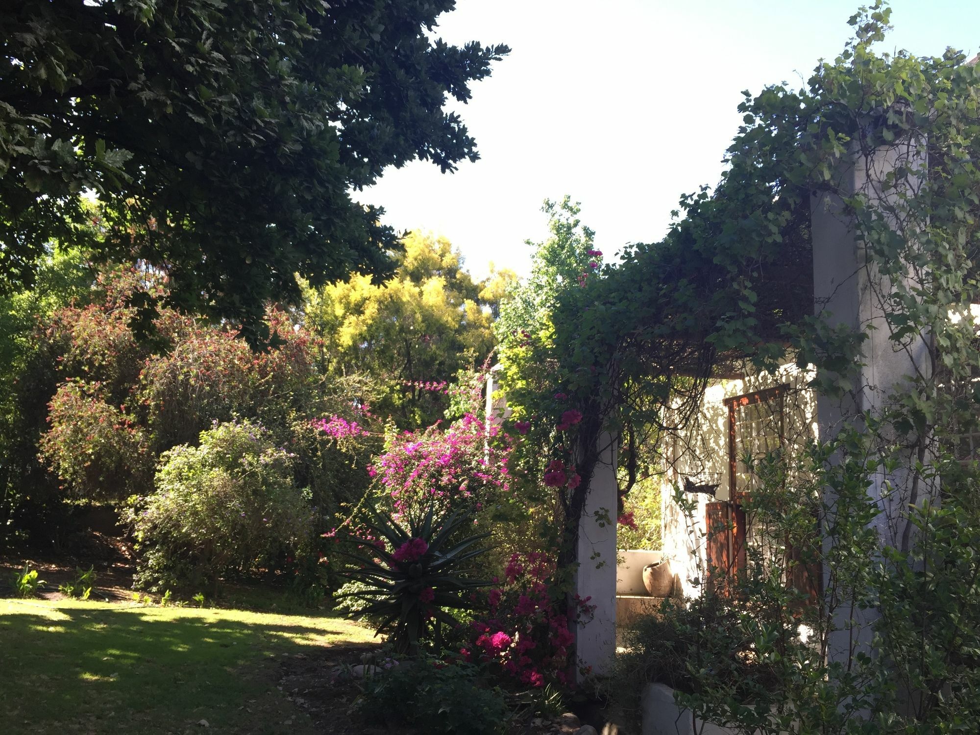 Wittedrift Manor House Hotel Tulbagh Kültér fotó
